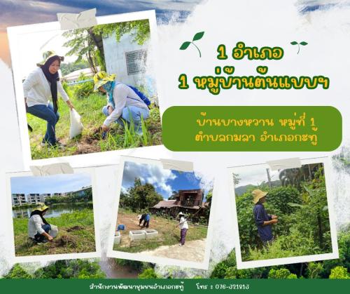 1 อำเภอ 1 หมู่บ้านต้นแบบ การน้อมนำแนวพระราชดำริฯ ปลูกผักสวนครัว เพื่อสร้างความมั่นคงทางอาหาร บ้านบางหวาน หมู่ที่ 1 ตำบลกมลา อำเภอกะทู้ จังหวัดภูเก็ต